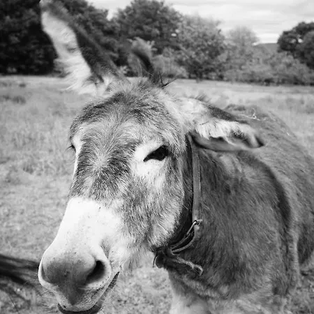 Torre Tanquian Eco - Ribeira Sacra Apartman