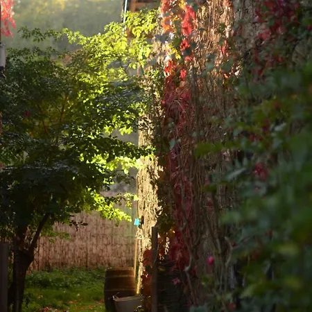 Apartman Torre Tanquian Eco - Ribeira Sacra *